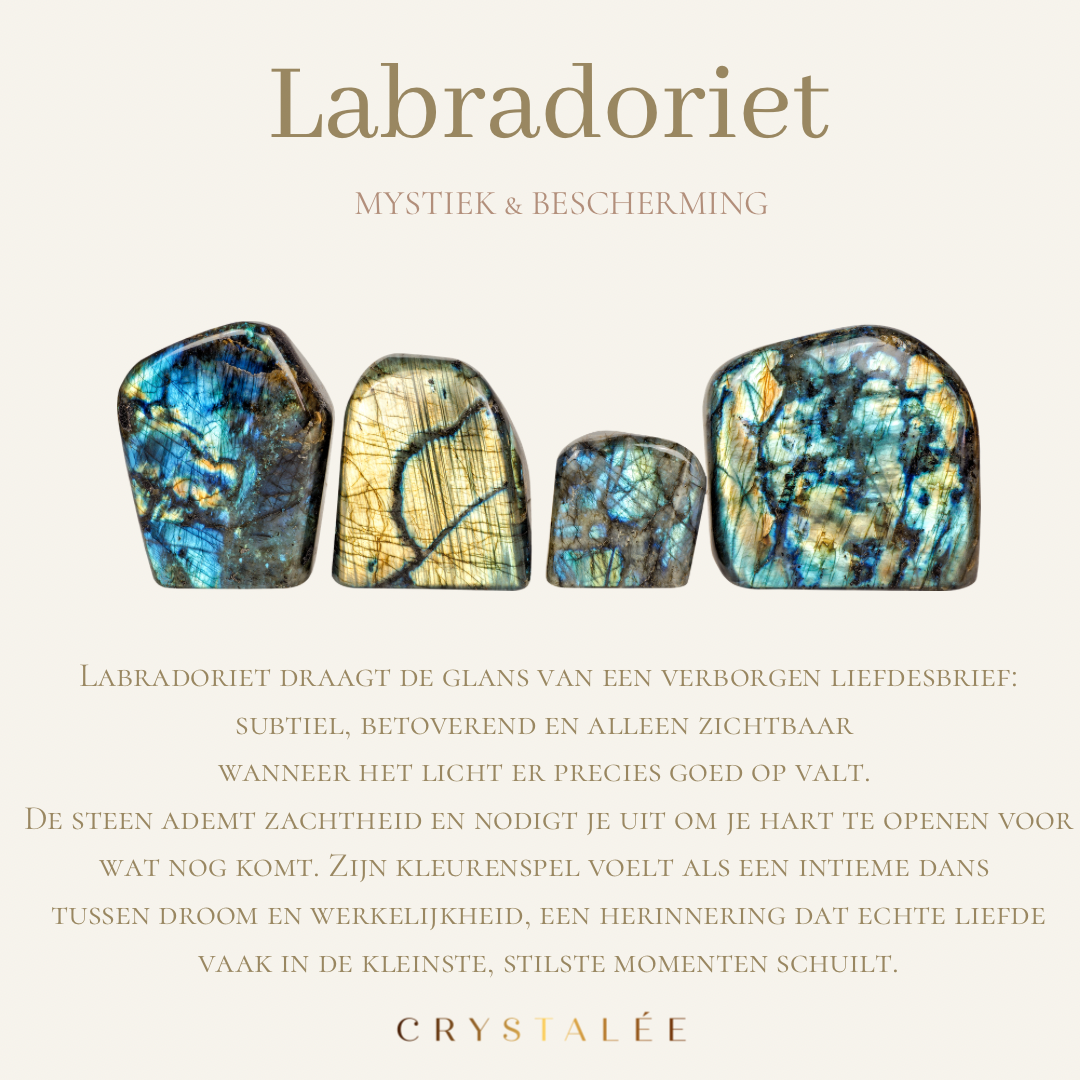 Oorbellen labradoriet - waterproof